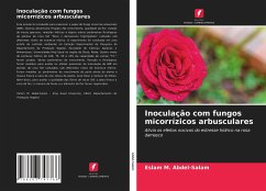 Inoculação com fungos micorrízicos arbusculares - Abdel-Salam, Eslam M.