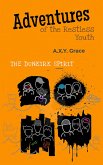 Adventure of the Restless Youth (Book 1) (eBook, ePUB)