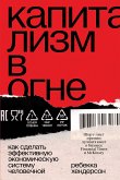 Капитализм в огне (eBook, ePUB)