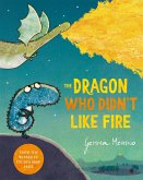 The Dragon Who Didn't Like Fire (eBook, ePUB)