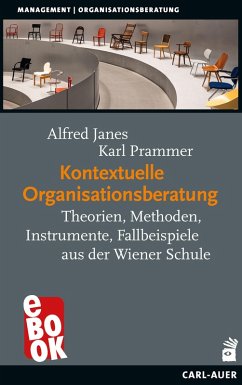 Kontextuelle Organisationsberatung (eBook, ePUB) - Janes, Alfred; Prammer, Karl