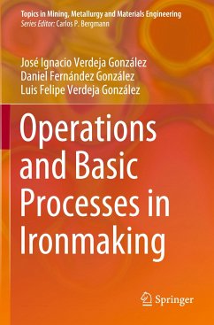 Operations and Basic Processes in Ironmaking - Verdeja González, José Ignacio;Fernández González, Daniel;Verdeja González, Luis Felipe