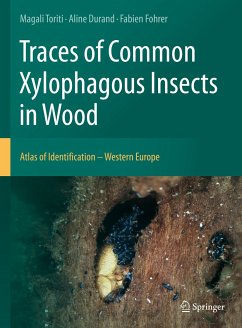 Traces of Common Xylophagous Insects in Wood (eBook, PDF) - Toriti, Magali; Durand, Aline; Fohrer, Fabien