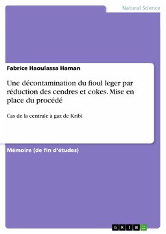 Une décontamination du fioul leger par réduction des cendres et cokes. Mise en place du procédé (eBook, PDF) - Haoulassa Haman, Fabrice