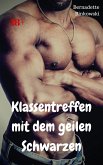 Klassentreffen mit dem geilen Schwarzen (eBook, ePUB)