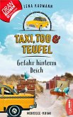 Gefahr hinterm Deich / Taxi, Tod und Teufel Bd.7 (eBook, ePUB)