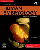 Essentials of Human Embryology, 1st Edition-E-book (eBook, ePUB)