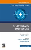 Genitourinary Emergencies, An Issue of Emergency Medicine Clinics of North America (eBook, ePUB)
