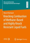Knocking Combustion of Methane-Based and Highly Knock Resistant Liquid Fuels (eBook, PDF)