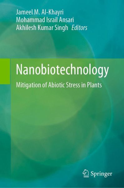 Nanobiotechnology (eBook, PDF)
