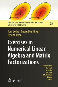Exercises in Numerical Linear Algebra and Matrix Factorizations (eBook, PDF) - Lyche, Tom; Muntingh, Georg; Ryan, Øyvind