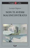 Non ti avessi mai incontrato (eBook, ePUB)