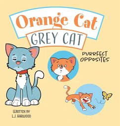 Orange Cat Grey Cat