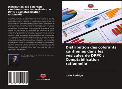Distribution des colorants xanthènes dans les vésicules de DPPC : Comptabilisation rationnelle - Rodrigo, Italo