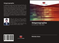 Stéganographie - Alam, Mehtab