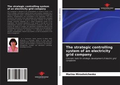 The strategic controlling system of an electricity grid company - Miroshnichenko, Marina