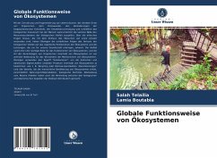 Globale Funktionsweise von Ökosystemen - Telailia, Salah;Boutabia, Lamia