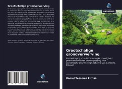 Grootschalige grondverwerving - Tessema Firrisa, Daniel