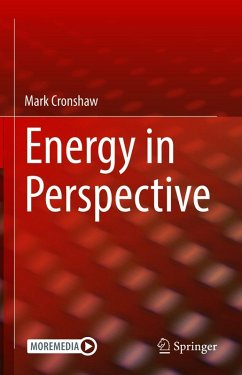 Cover Energy in Perspective (eBook, PDF)