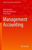 Management Accounting (eBook, PDF)