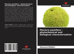 Maclura pomifera : phytochemical and biological characterization - MENDILI, Mohamed