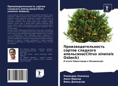 Proizwoditel'nost' sortow sladkogo apel'sina(Citrus sinensis Osbeck) - Nainwad, Rawindra;Virkar, Amol;Damodhar, Viqy