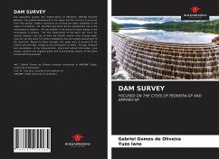 DAM SURVEY - Gomes de Oliveira, Gabriel;Iano, Yuzo