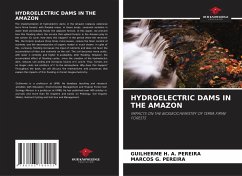 Cover HYDROELECTRIC DAMS IN THE AMAZON