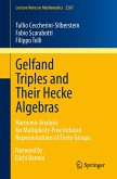 Gelfand Triples and Their Hecke Algebras (eBook, PDF)