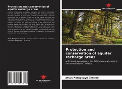 Protection and conservation of aquifer recharge areas - Choque, Jesus Paraguayo