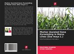 Marker Assisted Gene Pyramiding in Maize Lines (Zea mays L.)