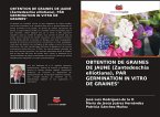 OBTENTION DE GRAINES DE JAUNE (Zantedeschia elliotiana), PAR GERMINATION IN VITRO DE GRAINES&quote;