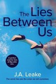 The Lies Between Us