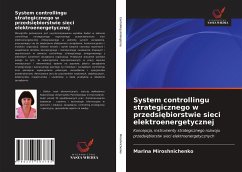 System controllingu strategicznego w przedsi¿biorstwie sieci elektroenergetycznej - Miroshnichenko, Marina