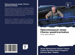 Presnowodnyj omar: Cherax quadricarinatus - Nun'es Garsiq, Laura Dzhordzhina;Awila Rodriges, Ulises Antonio;Dias Larrea, Dzhoana