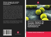 SCCmec tipagem de isolados clínicos de Staphylococcus haemolyticus