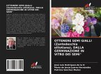 OTTENERE SEMI GIALLI (Zantedeschia elliotiana), DALLA GERMINAZIONE IN VITRO DEI SEMI&quote;