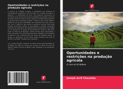 Oportunidades e restrições na produção agrícola - Chaumba, Joseph Arrif
