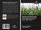 Marker Assisted Gene Pyramiding in linee di mais (Zea mays L.)