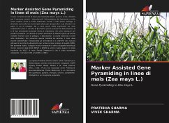 Marker Assisted Gene Pyramiding in linee di mais (Zea mays L.) - Sharma, Pratibha;Sharma, Vivek