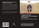 Trypanosomiase américaine chez Didelphis marsupialis