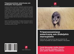 Tripanossomíase americana em Didelphis marsupialis - Ardila-Gómez, Yezid Alexander;Gamboa Osorio, María Camila;Ibañez Castellanos, José Julian