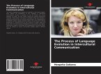 The Process of Language Evolution in Intercultural Communication