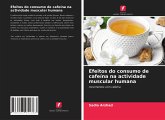 Efeitos do consumo de cafeína na actividade muscular humana