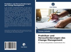 Praktiken und Herausforderungen des Change Management - Ashebir, Tensae