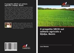Il progetto VECO sul settore agricolo a Djidja, Benin - Douna, Léa