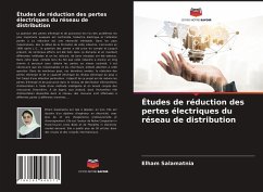 Études de réduction des pertes électriques du réseau de distribution - Salamatnia, Elham