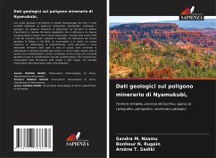 Dati geologici sul poligono minerario di Nyamukubi, - Nzamu, Sandra M.;Rugain, Bonheur N.;Sadiki, Arsène T.