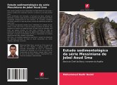 Estudo sedimentológico da série Messiniana de Jebel Aoud Sma