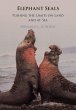 Elephant Seals - Bild 1